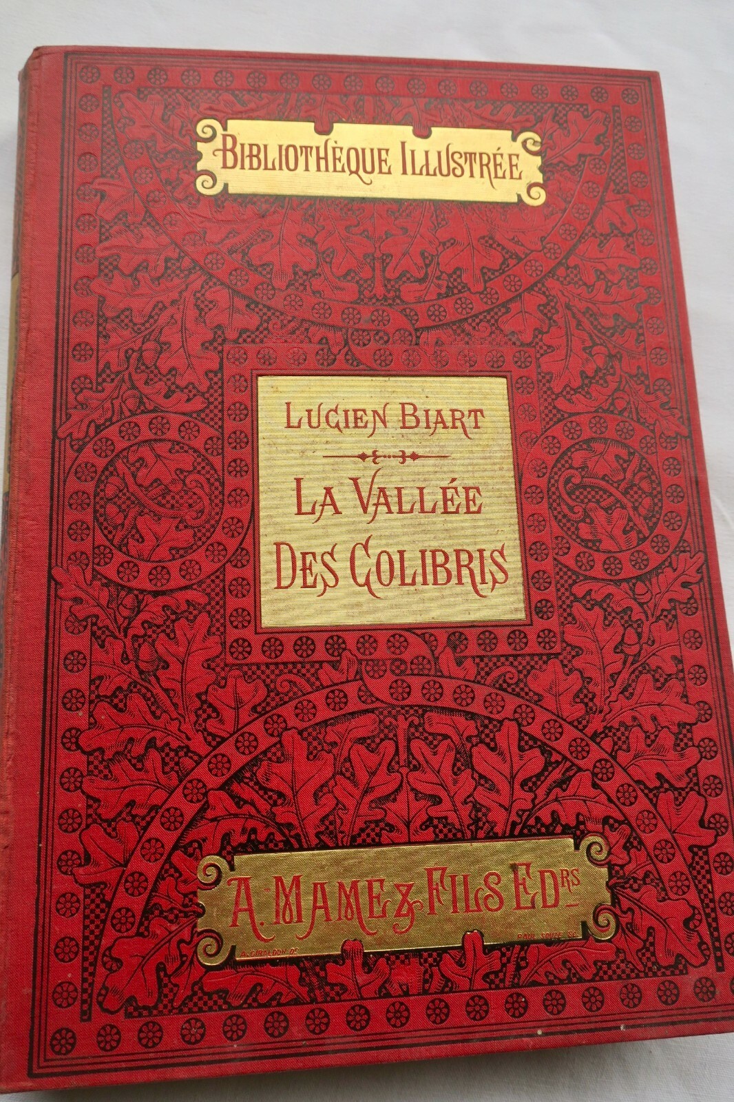 Cartonnage Biart La Vallee Des Colibris 1896