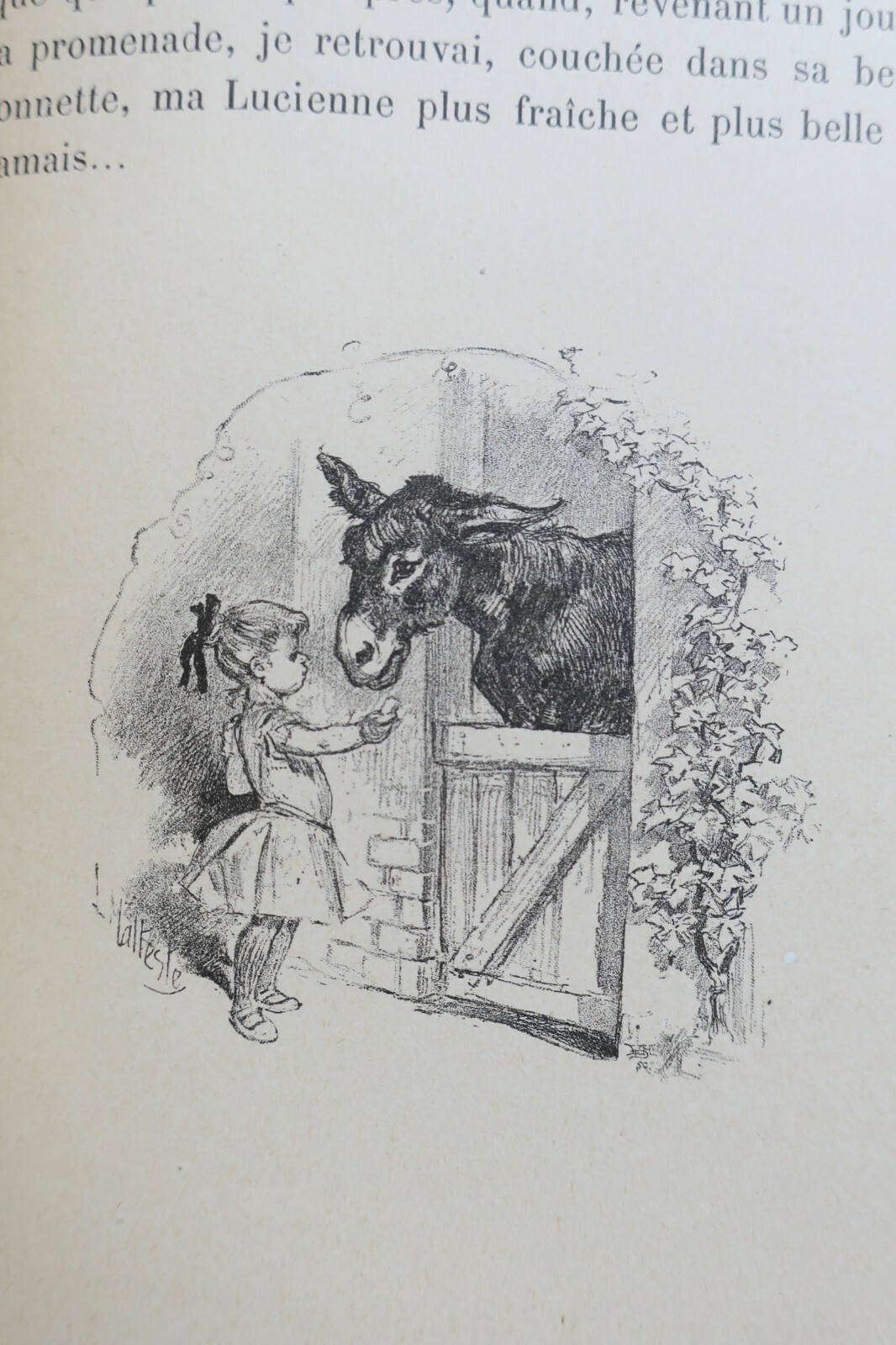 若い読者のための魅力的な物語 – Image 5