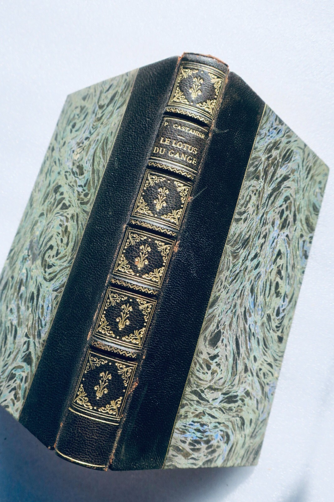 The Ganges Lotus - Illustrated Edition<span class="lla-card-orig-wrap"><span class="lla-card-orig">❦ CASTANIER (Prosper) Le Lotus du Gange. Illustrations de MARODON</span></span> - La Librairie Antique