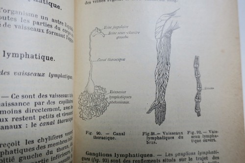 Natural History Overview - Image 5