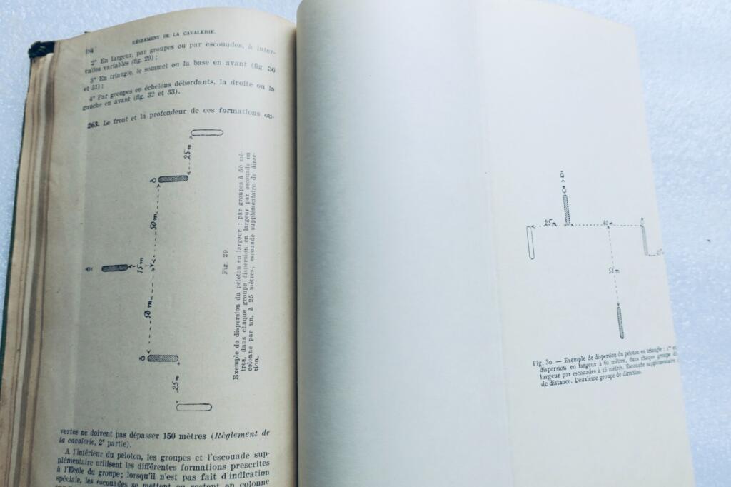 Handbuch für Kavallerieoffiziere