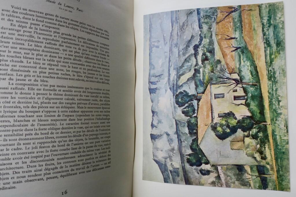 Monographie des Meisters der modernen Malerei