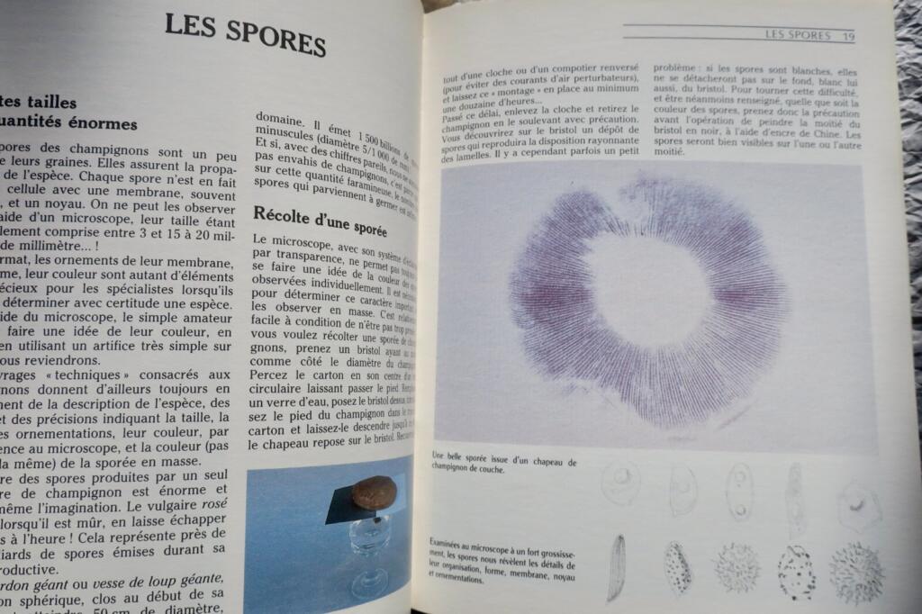Mushroom identification, cultivation and cooking guide