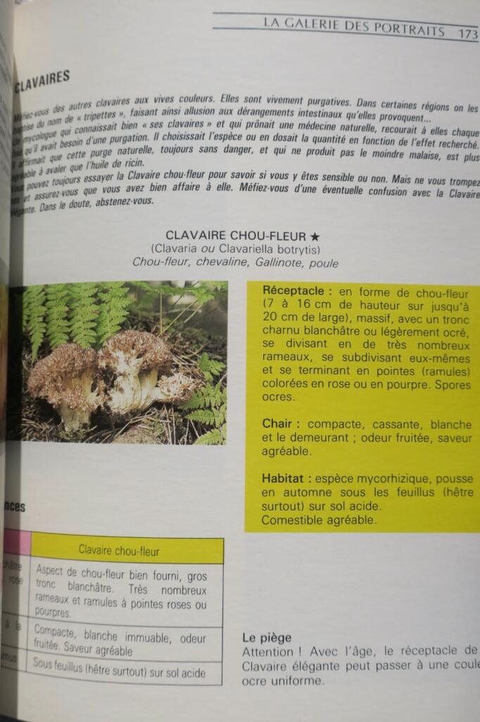 Mushroom identification, cultivation and cooking guide