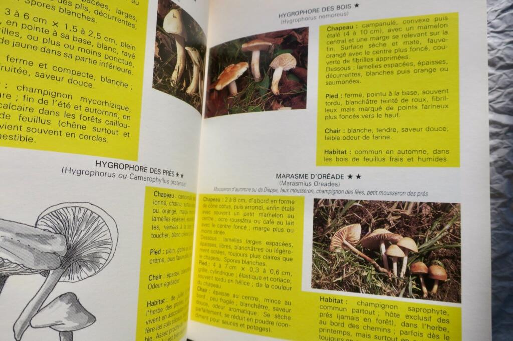 Mushroom identification, cultivation and cooking guide