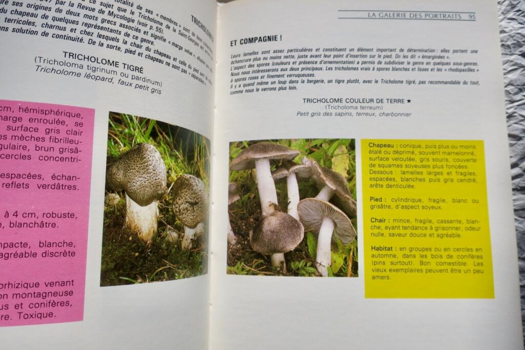 Mushroom identification, cultivation and cooking guide