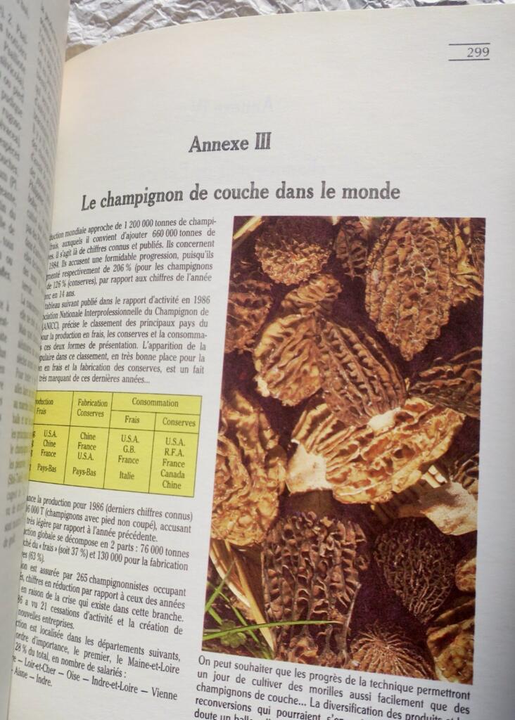 Mushroom identification, cultivation and cooking guide