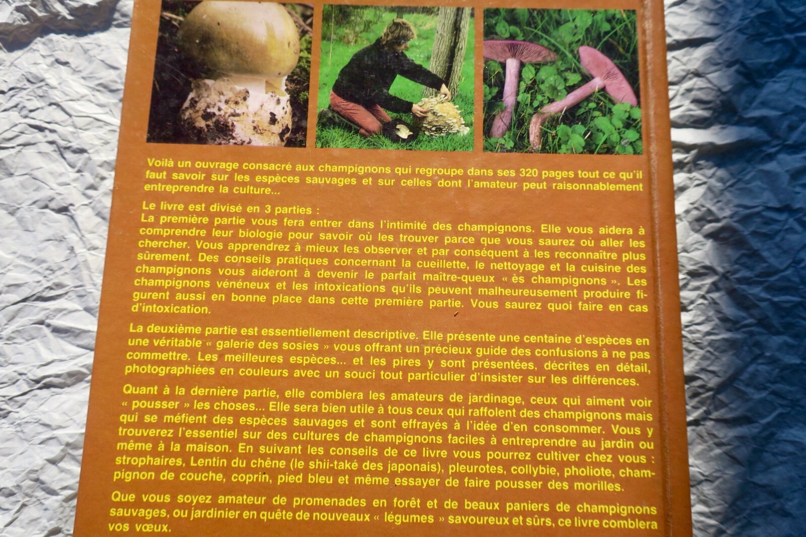 キノコの識別、栽培、調理ガイド<span class="lla-card-orig-wrap"><span class="lla-card-orig">❦ champignon RECONNAITRE – CULTIVER – CUISINER – LES CHAMPIGNONS</span></span> - La Librairie Antique
