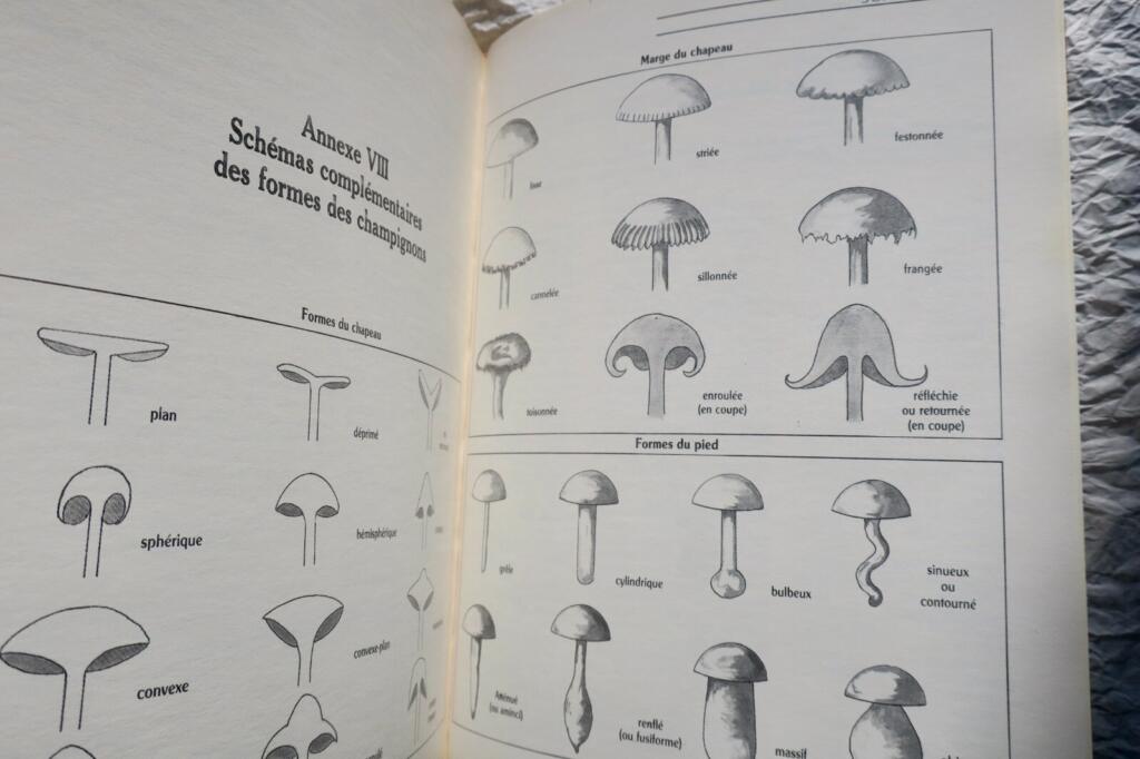 Mushroom identification, cultivation and cooking guide