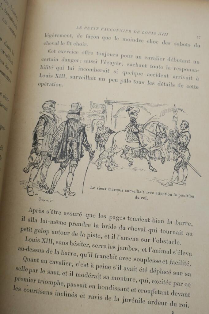 Der junge Falkner Ludwigs XIII.