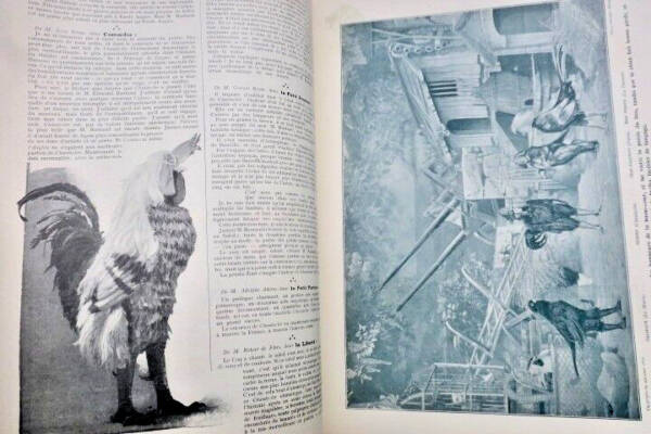 シャンテクレール挿絵版とザマコイスの自筆書簡