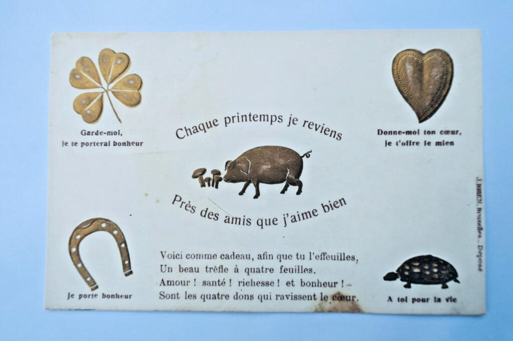 chaque printemps je reviens près des amis que j&rsquo;aime bien