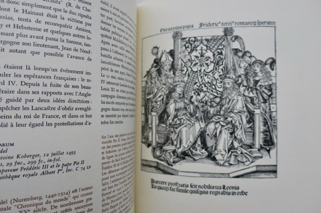Karl der Kühne - Historische Biographie