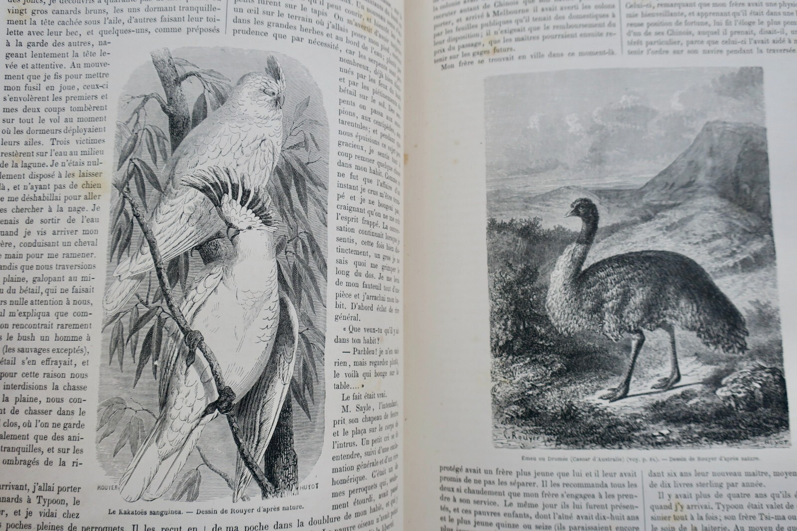 Around the World: Travel Journal, Year 2 (1861) - Image 9