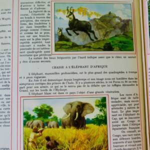 chasse a travers le monde