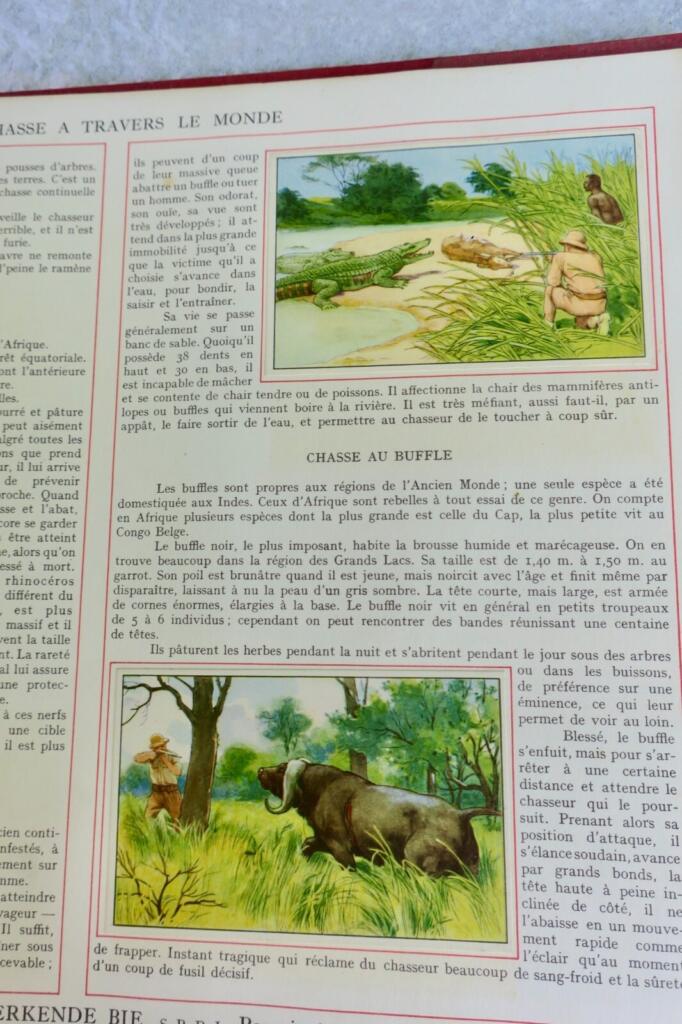 Erforschung der globalen Jagd