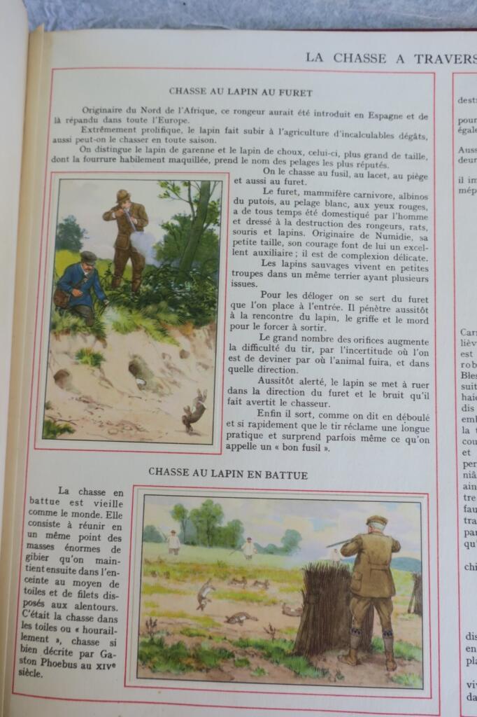 Erforschung der globalen Jagd
