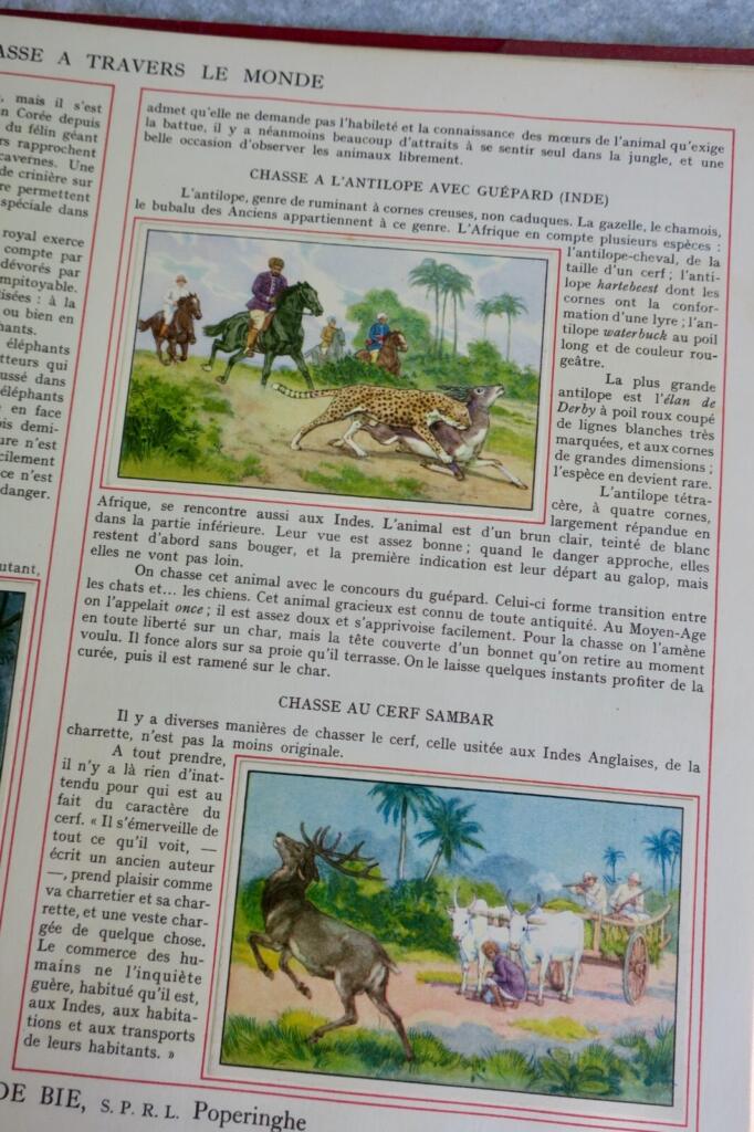 Erforschung der globalen Jagd