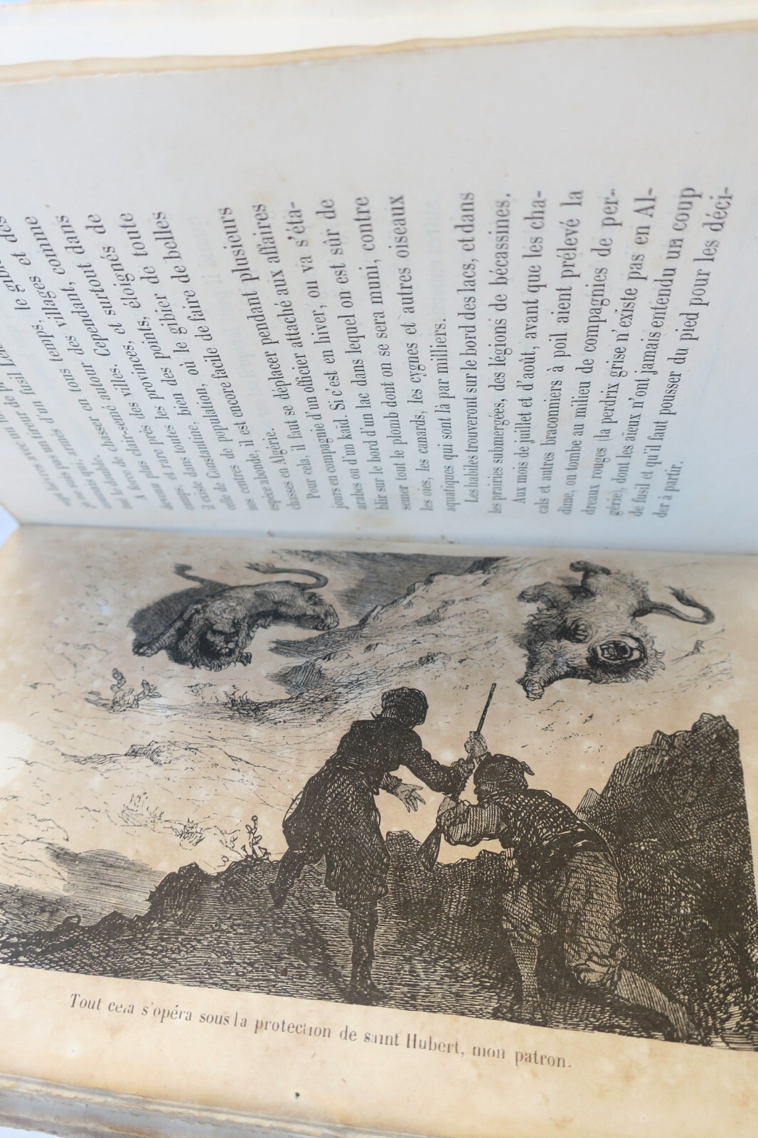 Löwenjagd-Abenteuer mit Doré-Illustrationen - Image 3
