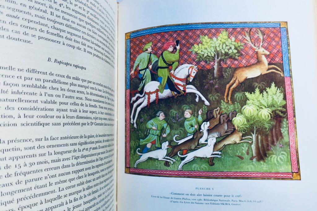 Umfassendes Jagd- und Naturführer mit Wildtierkunst