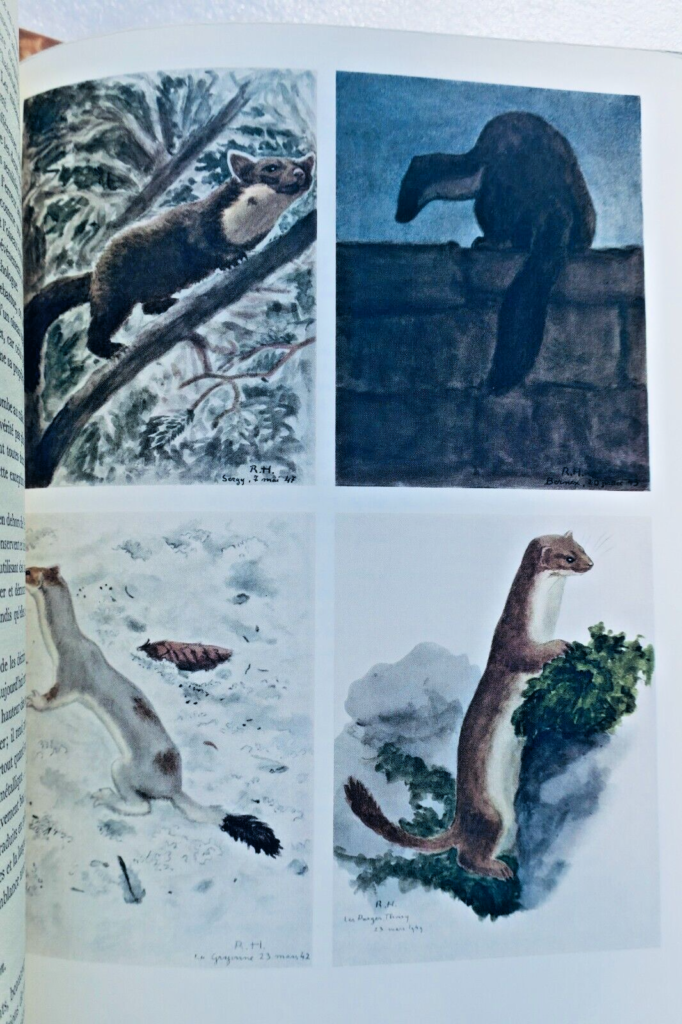 Chasse De Boislambert The Great Book Of Hunting And Nature