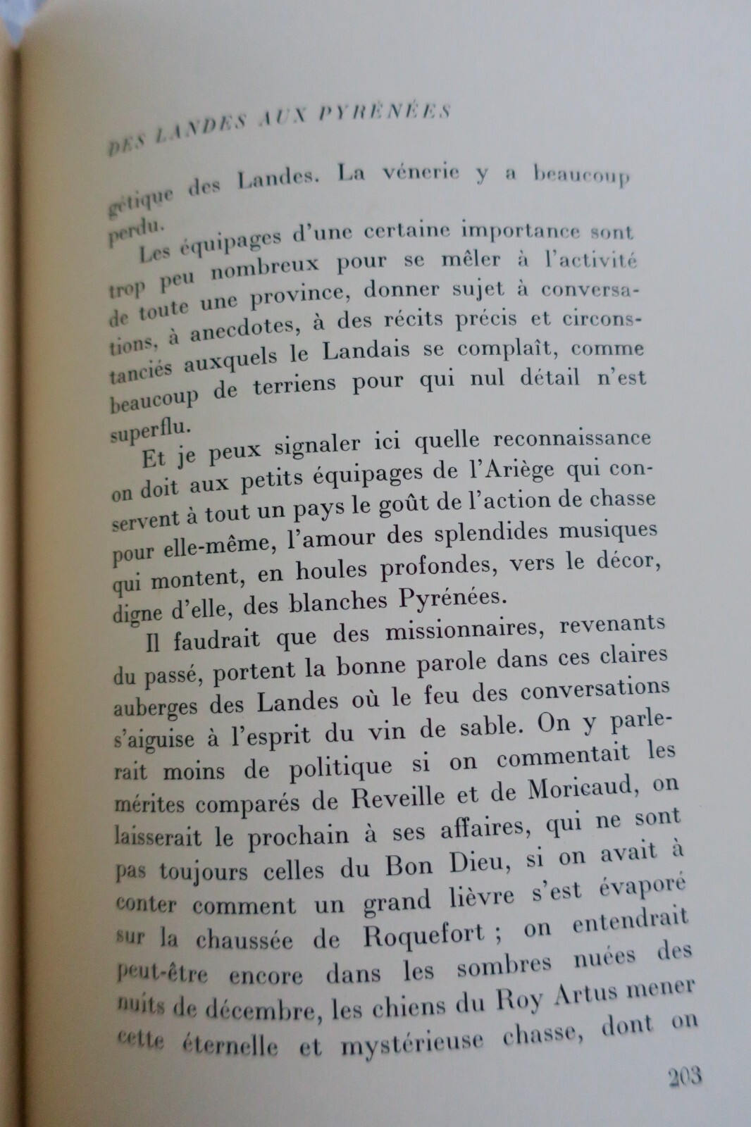 Jagdexpedition von den Landes zu den Pyrenäen - Image 4