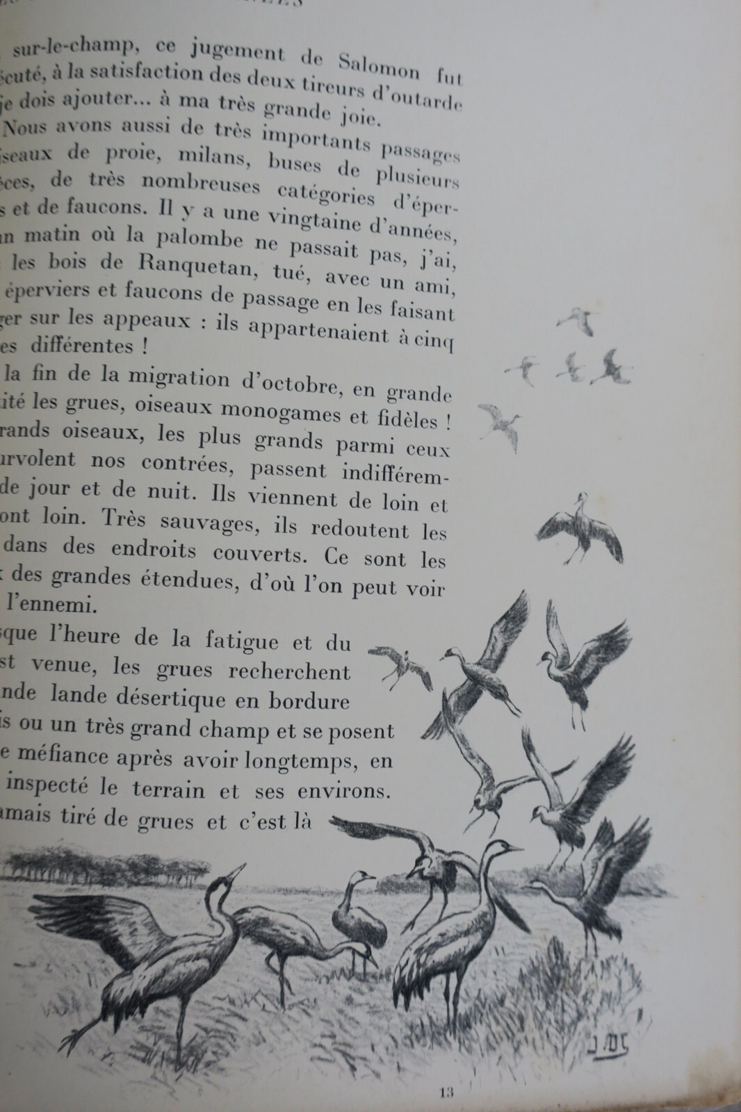 Jagdexpedition von den Landes zu den Pyrenäen - Image 5