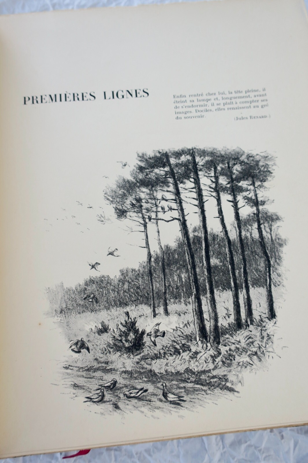 Jagdexpedition von den Landes zu den Pyrenäen - Image 11