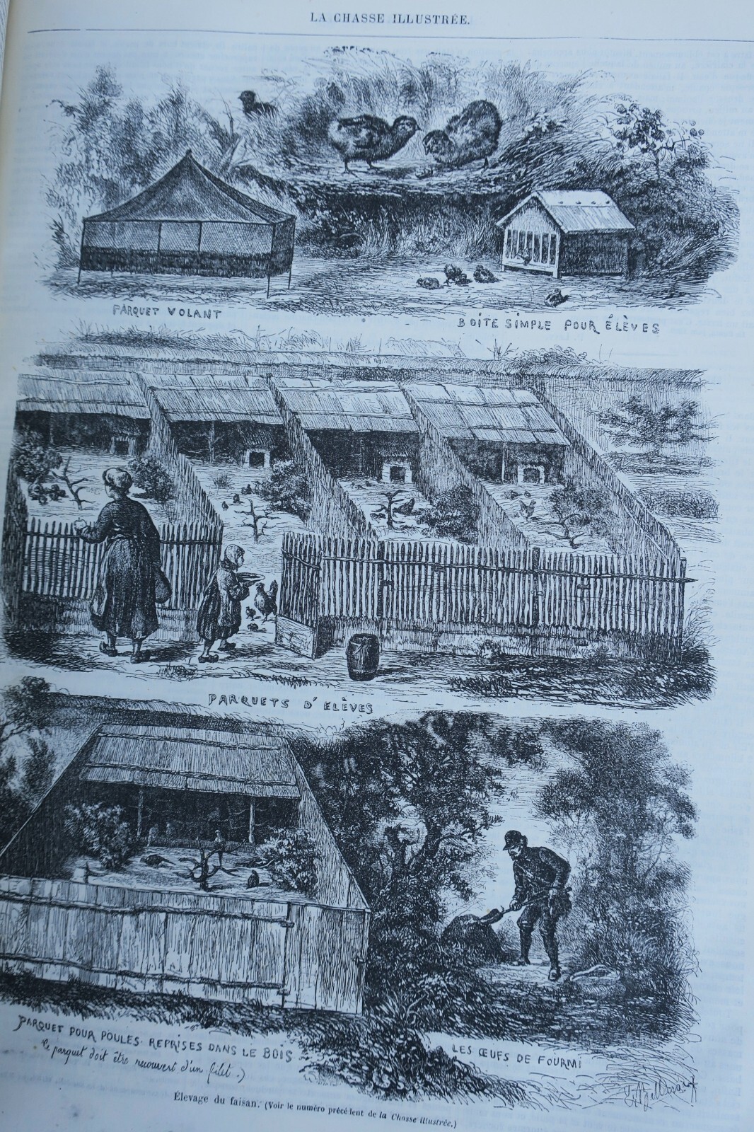 Chasse illustrée - Journal des chasseurs et de la vie à la campagne 1872-73 – Image 14