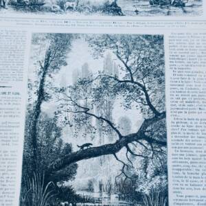 Chasse illustrée - Journal des chasseurs et de la vie à la campagne 1872-73