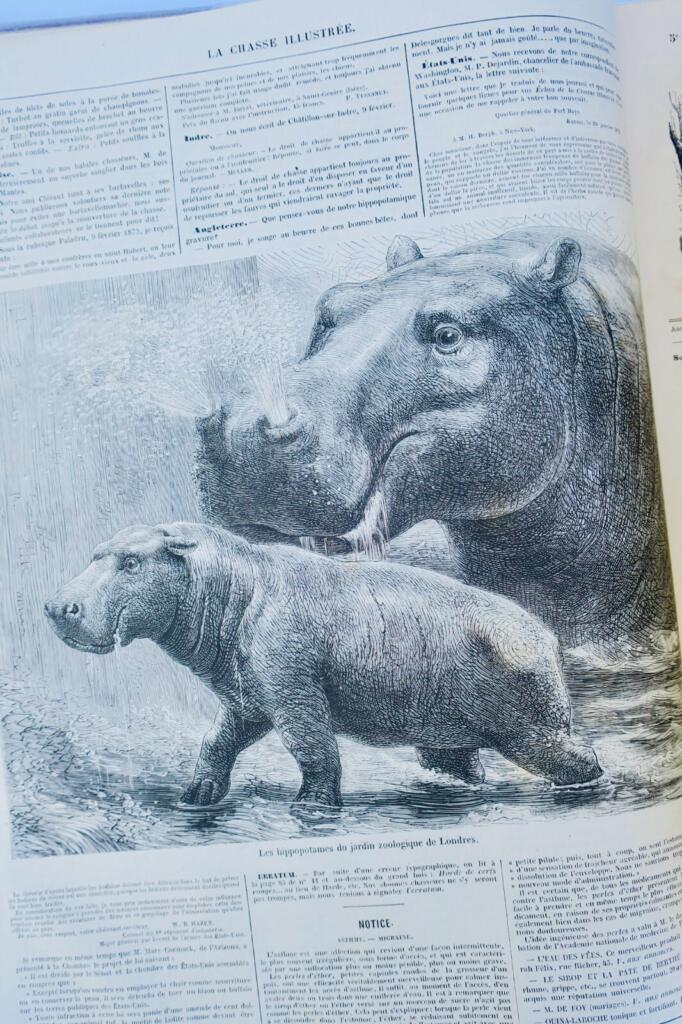 Illustrated Hunting Journal