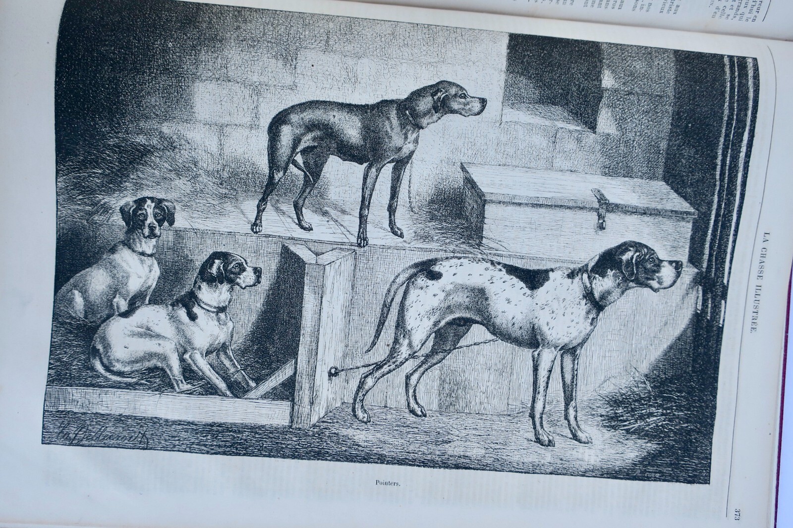 Chasse illustrée - Journal des chasseurs et de la vie à la campagne 1872-73 – Image 15