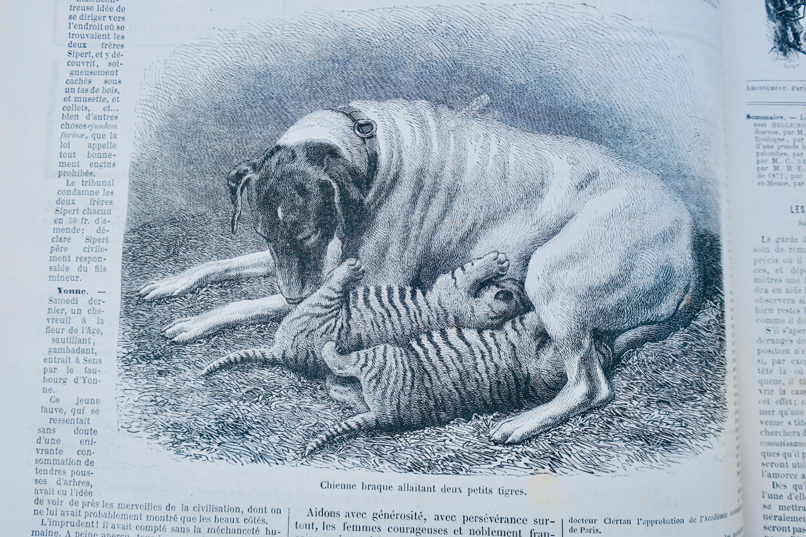 Chasse illustrée - Journal des chasseurs et de la vie à la campagne 1872-73 – Image 10