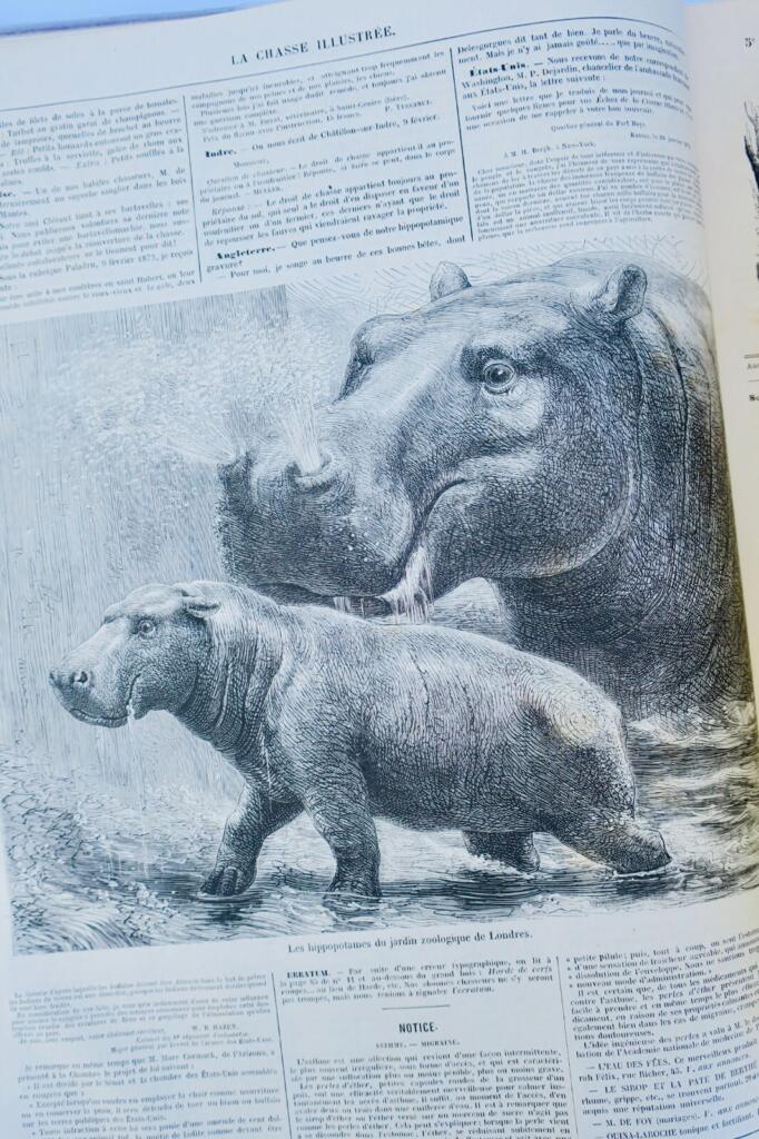 Hunting periodical with wood engravings, 1872-73