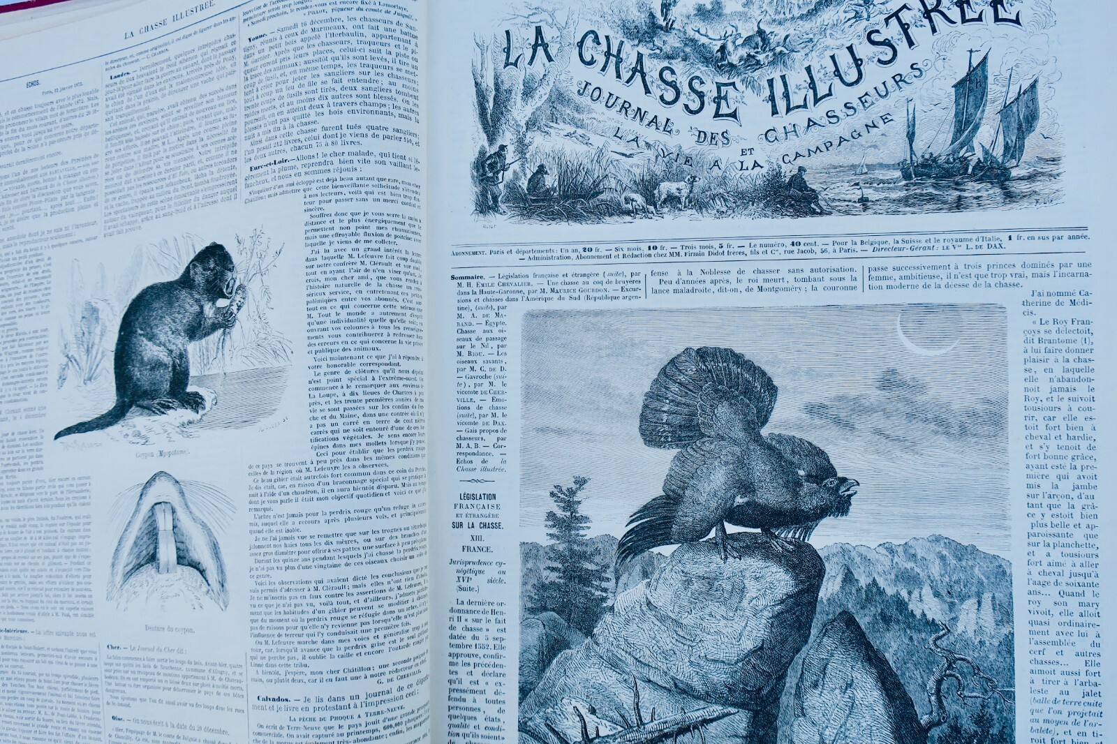 Chasse illustrée – Journal des chasseurs et de la vie à la campagne 1872-73 - La Librairie Antique
