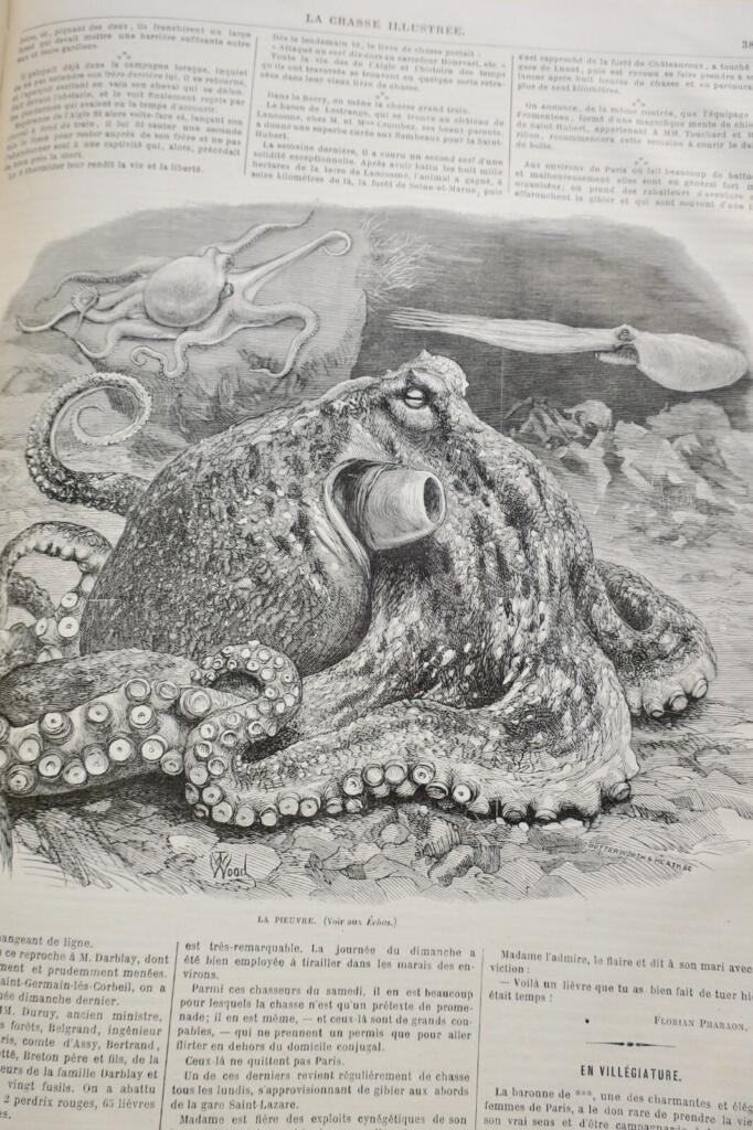 Illustriertes Jagdjournal 1877