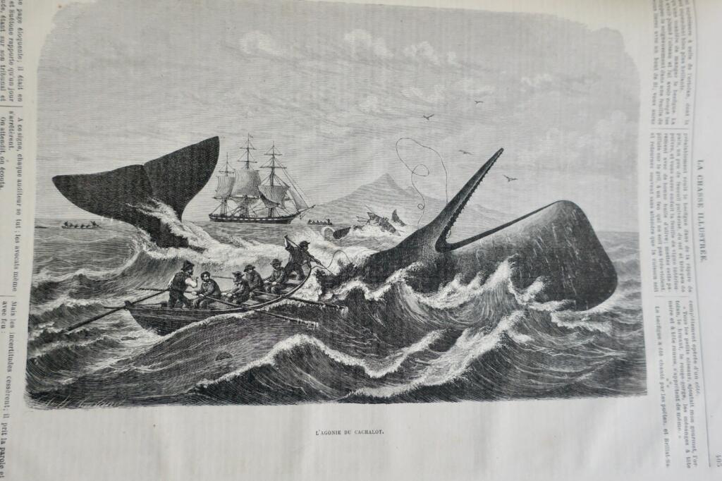 Hunting Journal & Countryside Life 1877