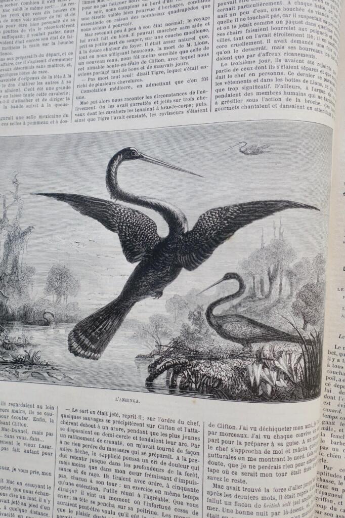 Hunting Journal & Countryside Life 1877