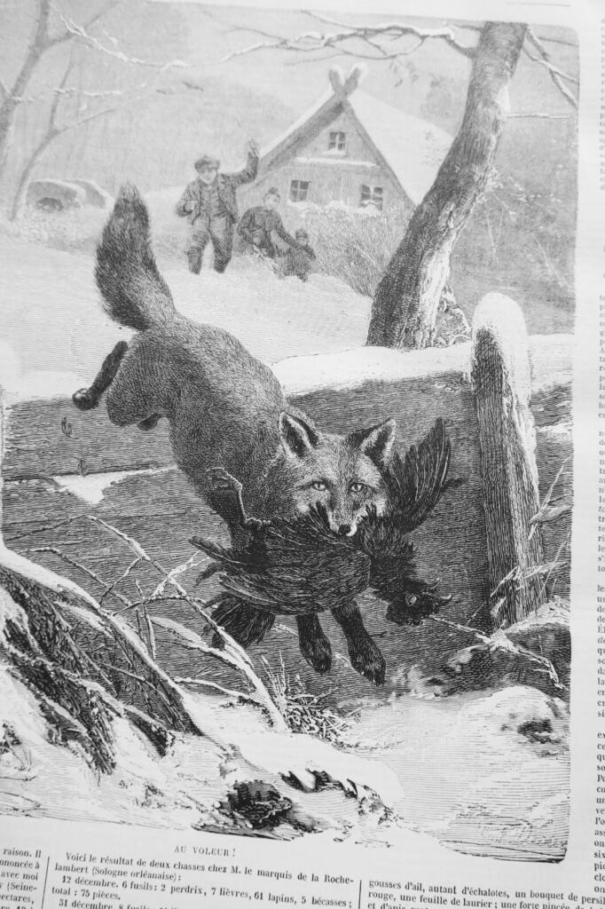 Hunting Journal & Countryside Life 1877