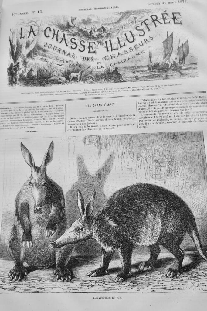 Hunting Journal & Countryside Life 1877