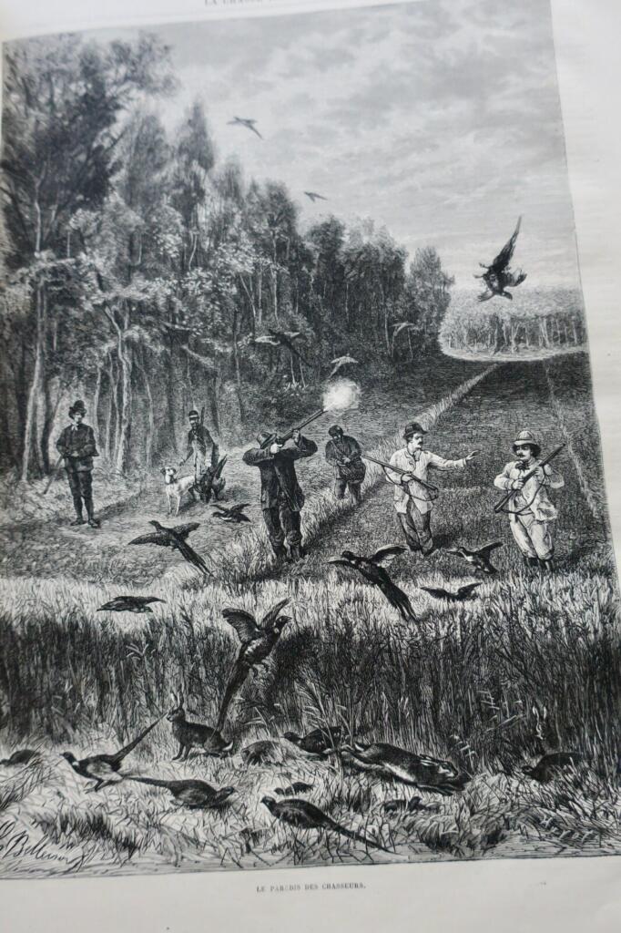 Illustriertes Jagdjournal 1878