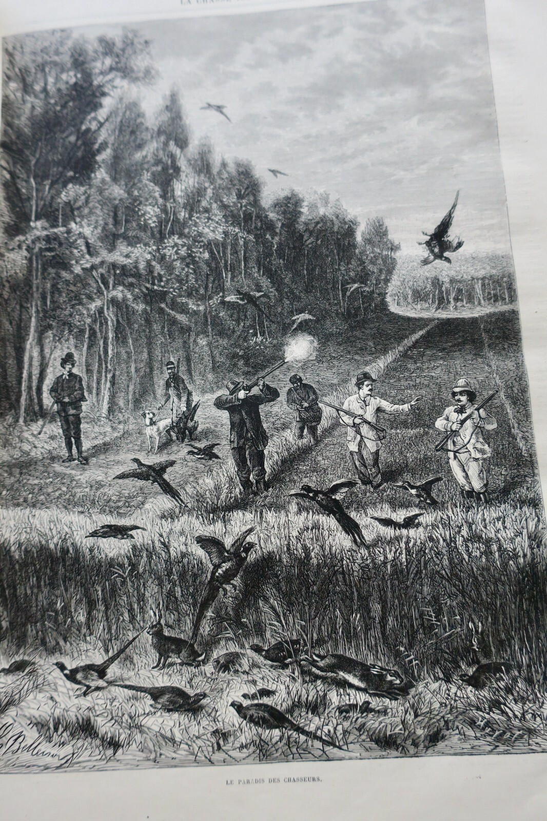 Illustriertes Jagdjournal 1878 - Image 4