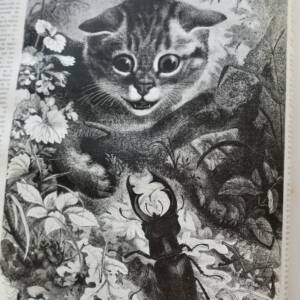 Chasse illustrée - Journal des chasseurs et de la vie à la campagne 1878