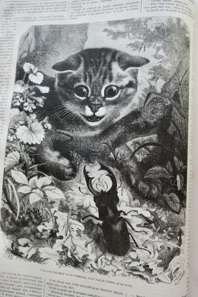 Illustriertes Jagdjournal 1878