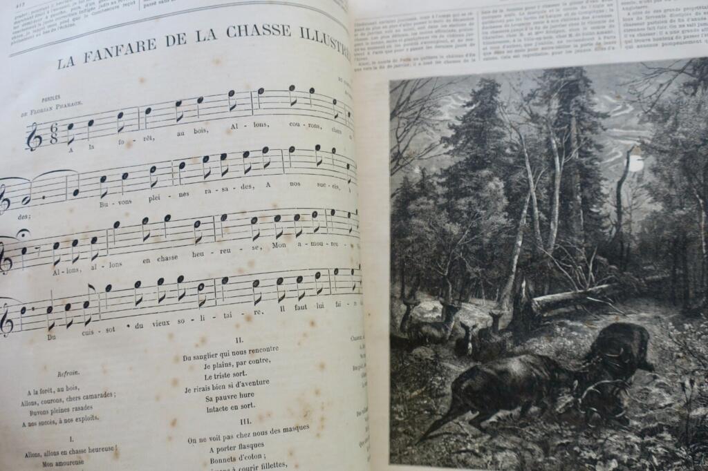Illustriertes Jagdjournal 1878