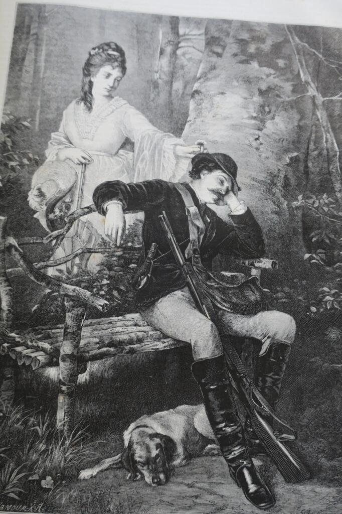Illustriertes Jagdjournal 1878