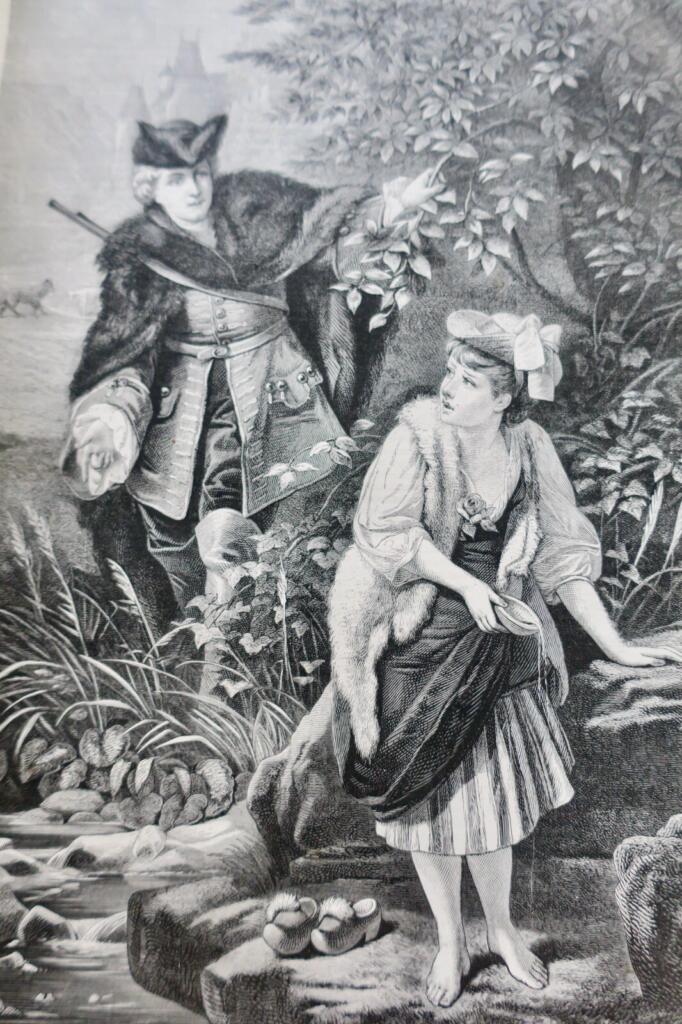 Illustriertes Jagdjournal 1878