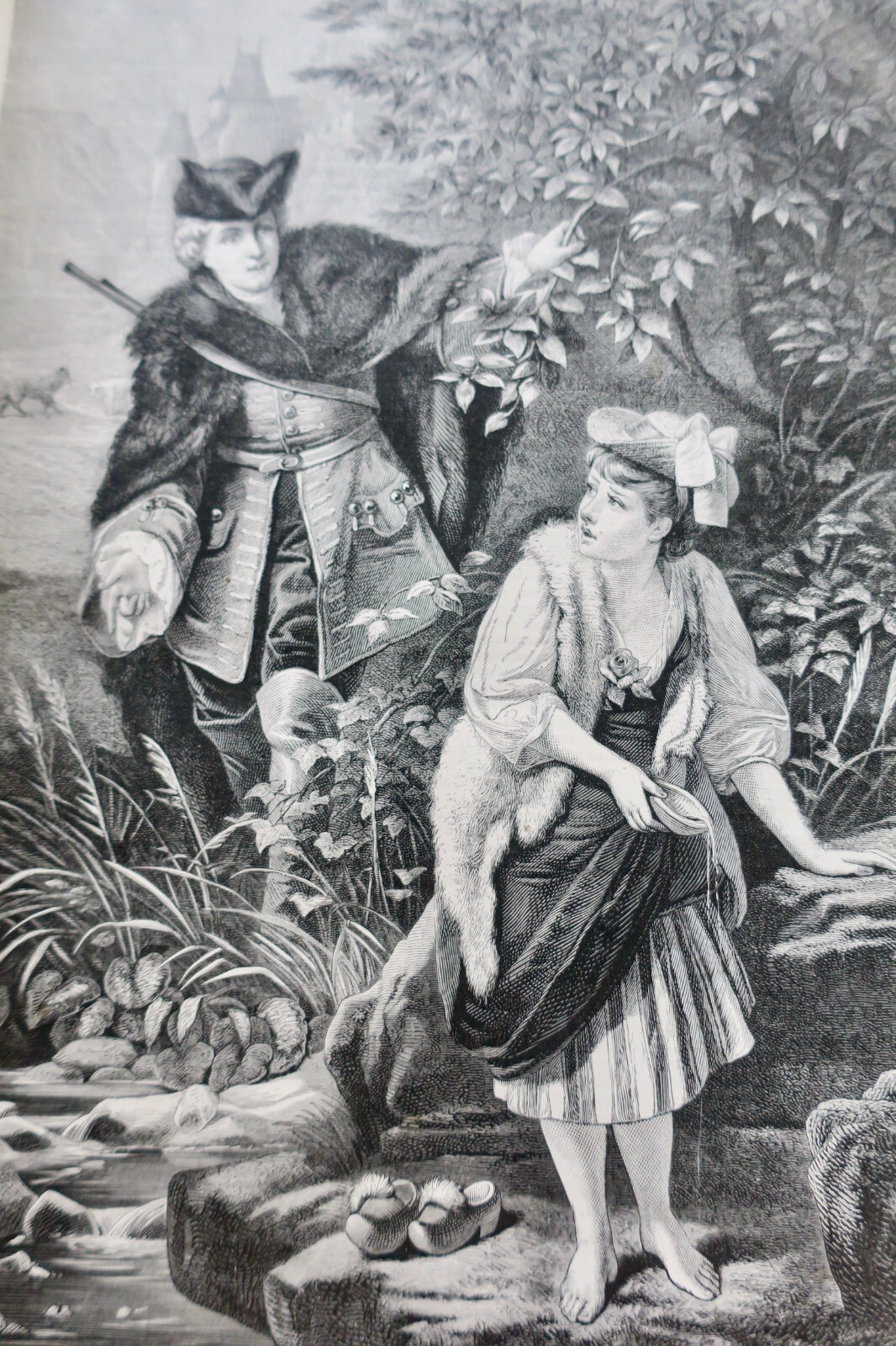 Illustriertes Jagdjournal 1878 - Image 5
