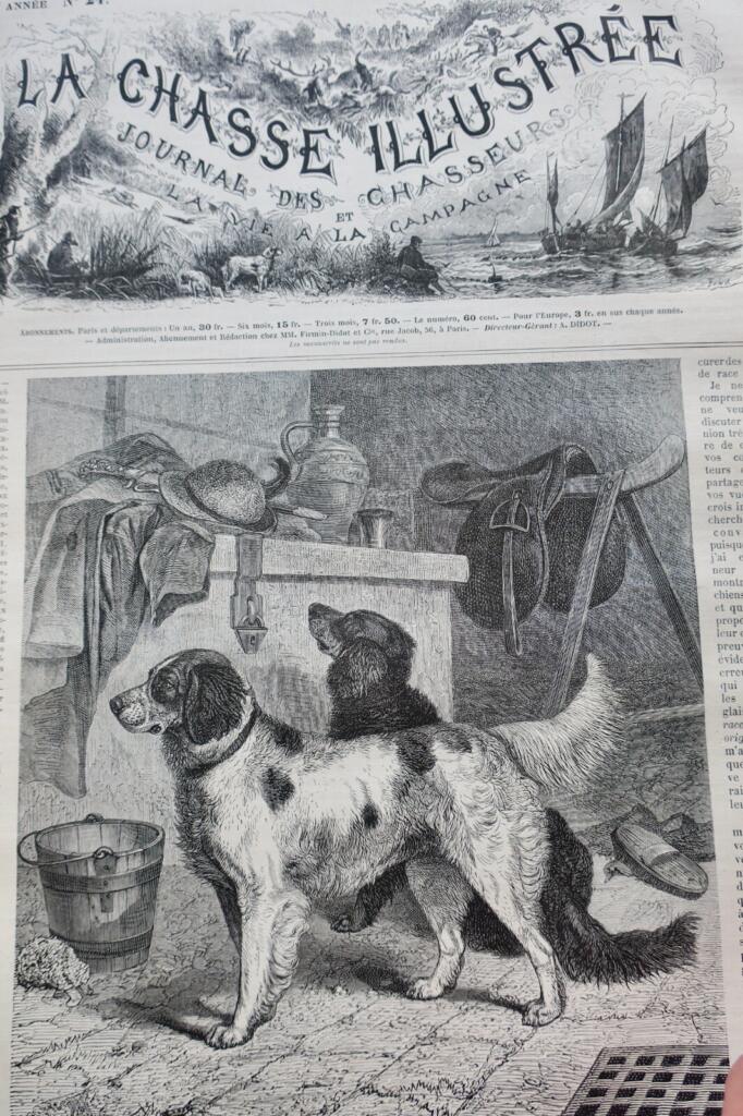 Illustriertes Jagdjournal 1878