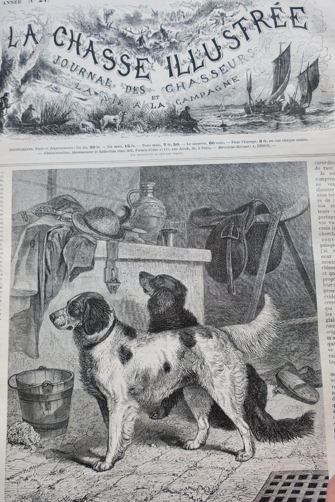 Illustriertes Jagdjournal 1878 - Image 7